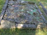 image of grave number 557741